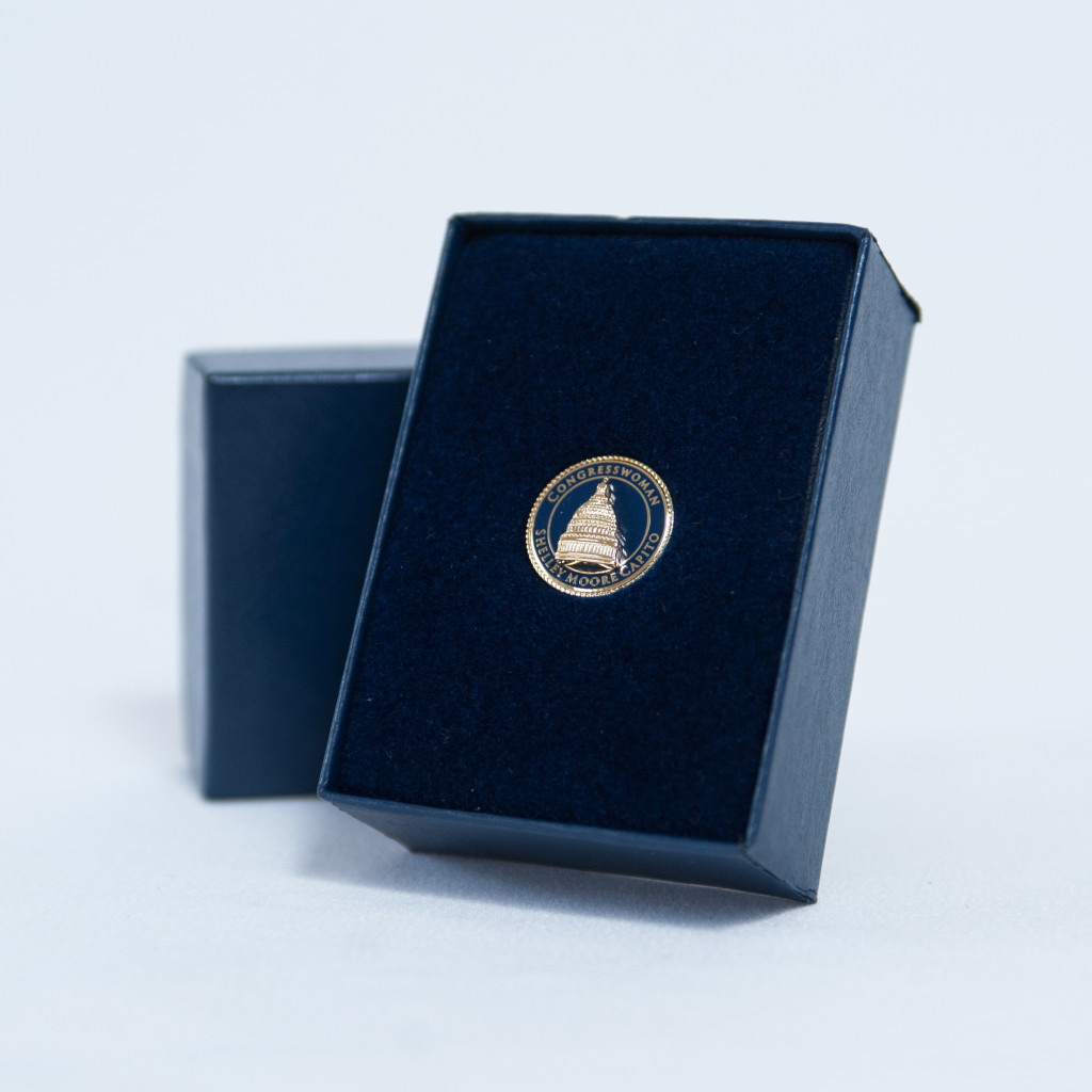 Hammerstone Mint Lapel Pins